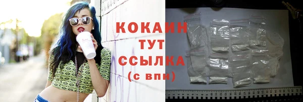 прущий лед Ладушкин
