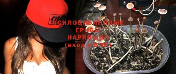 гидра Лабытнанги